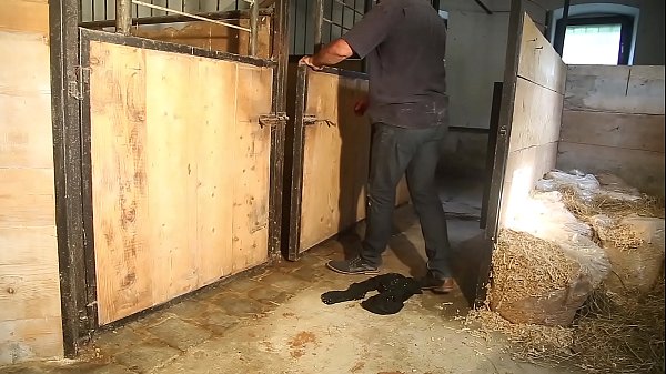Play MP4 - Luna shackled in a stables