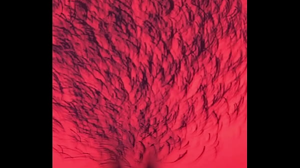 Nelly gets fucked and multiple facials