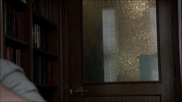 Play MP4 - Sasha Alexander in Shameless