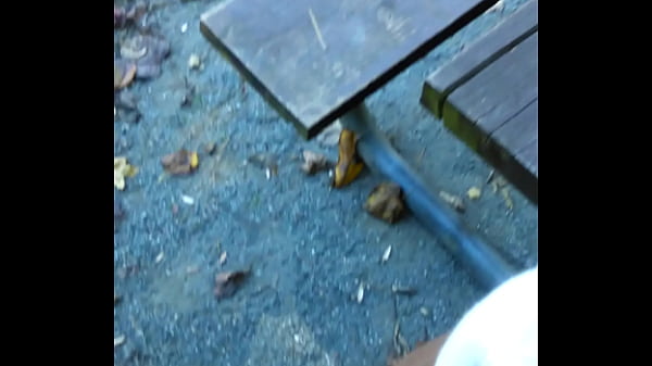 Play MP4 - video&colon;28298