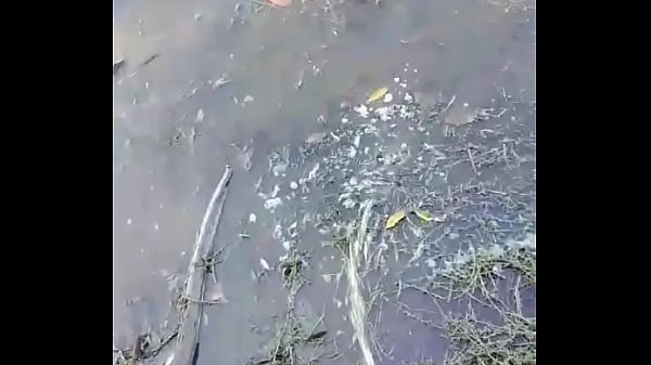 Natty Daddy Crosses America 