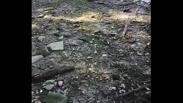 Natty Daddy Crosses America 