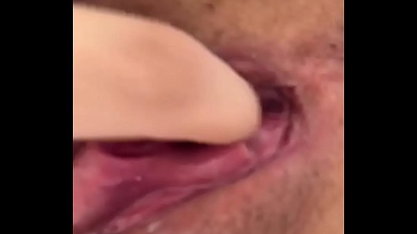 Play MP4 - Melissa Lisboa se masturba com o privetoy e goza intensamente