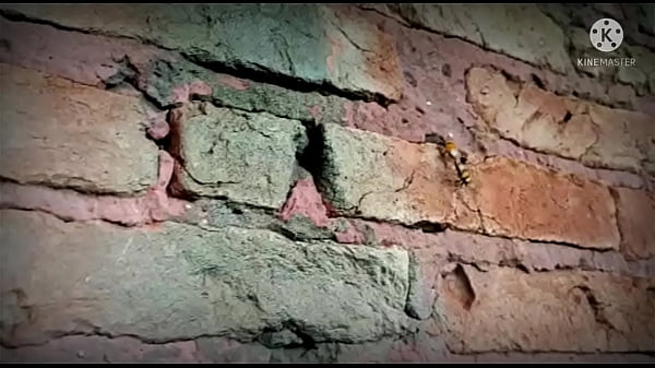 Nonton Besoura Fogosa Aiai thumbnail