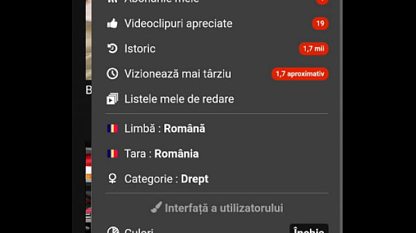Videoclip verificare 