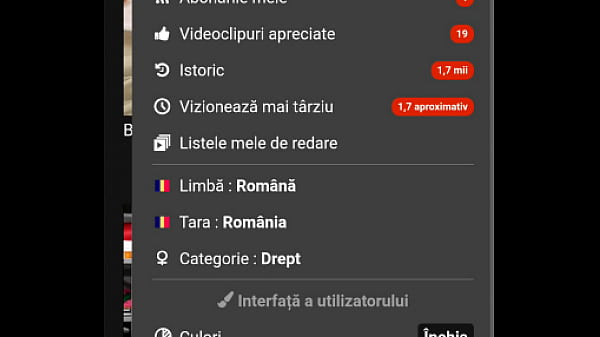 Videoclip verificare 