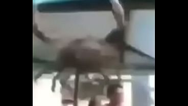 Nonton Didi thumbnail