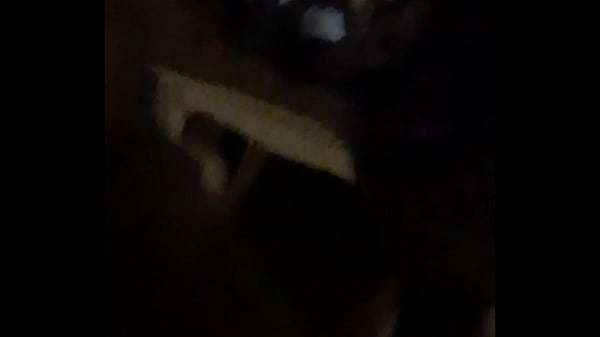 Cat in the hat with a big duck goose 