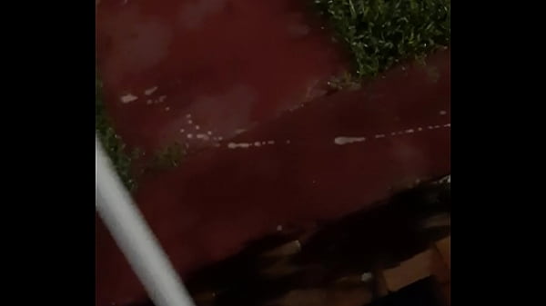 Cat in the hat with a big duck goose 