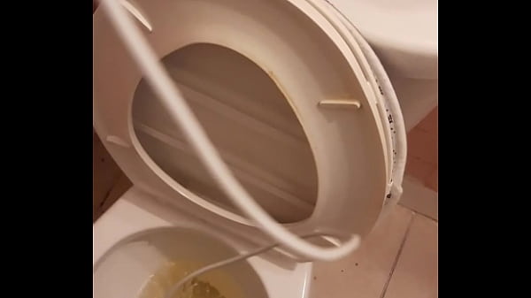 Cat in the hat with a big duck goose 