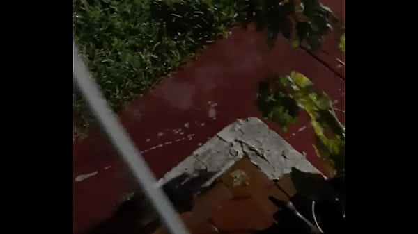 Yahoo gave me forest druid