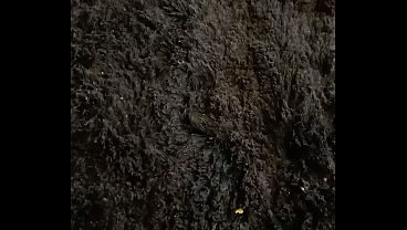 V&iacute_deo de verifica&ccedil_&atilde_o