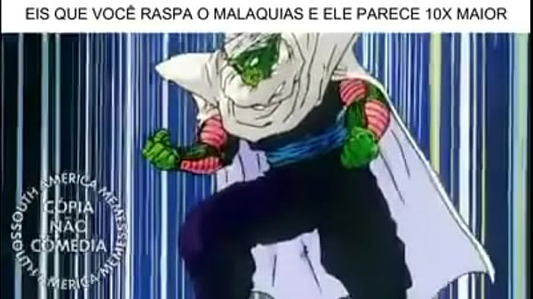 V&iacute_deo de verifica&ccedil_&atilde_o