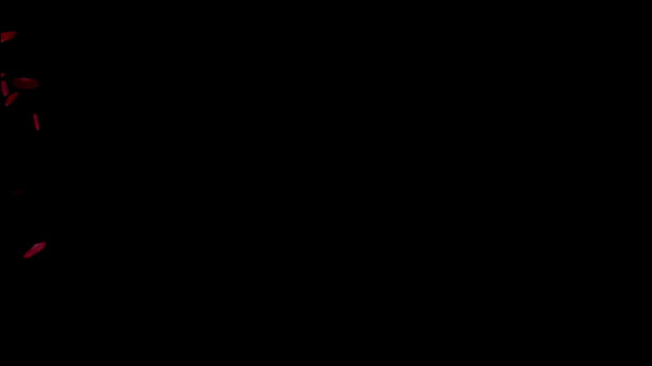 Nonton Montador De M&oacute;vel Socando Gostoso! thumbnail