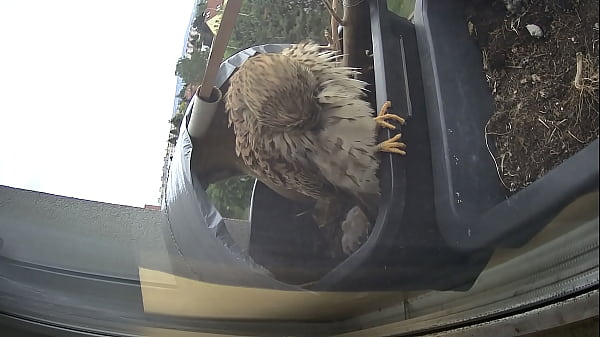 Máňa and the offsprings