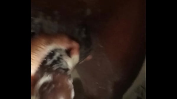 Play MP4 - Masturbating brother in-law dick