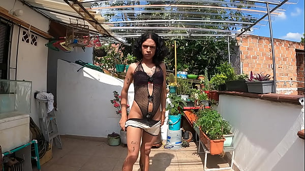 Play MP4 - LA PERRA DE LA CASA MEDELLIN COLOMBIA