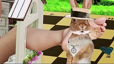 Torcelini lesson 4 explorers and alice in wonderland full video