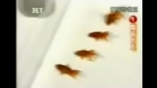 Nonton 1 (31) thumbnail