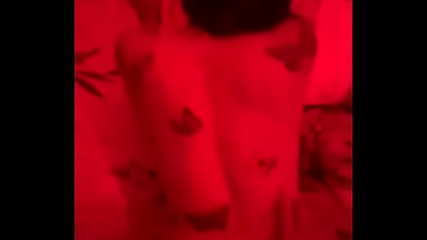 Play MP4 - Que rico me folla el bb que me hizo el tatuaje