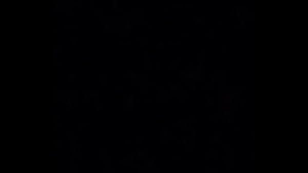 The real yerbie berbies yookie dookies ft chandra bird and camille bird and dogwood danielle ohio version the wanna be christinas bs gb audio