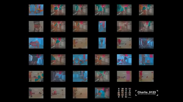 D&eacute_ambuler la d&eacute_couverte