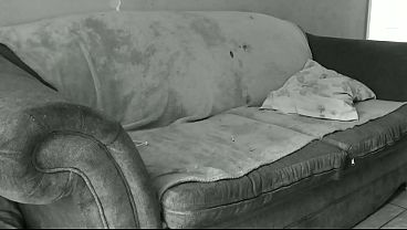 Nonton Couch Love Fat Booty Ass Fuck Yellow Big Ass Cheeks Started Squirting All Of A Sudden Cum Shot On Body First Video One (1) Free Please Watch Adverts thumbnail