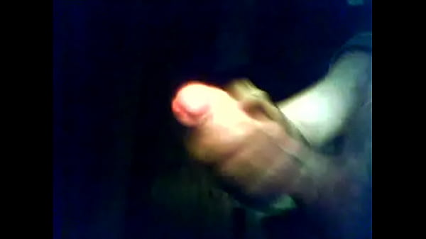 Ibex ibex 2012 12 11 