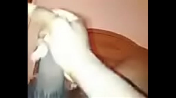 Play MP4 - received 108471249506536