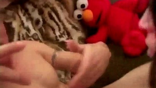 Hot lesbians share toy collection 