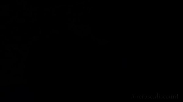 Nonton Nina And Nikki Like To Play The Beach thumbnail