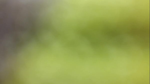 Play MP4 - 20150911 053816