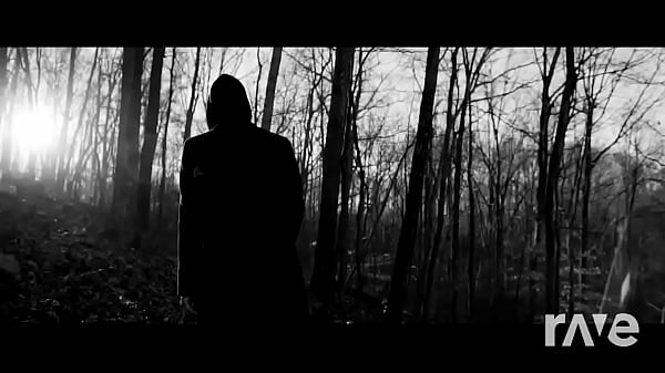 Oscuro el bosque