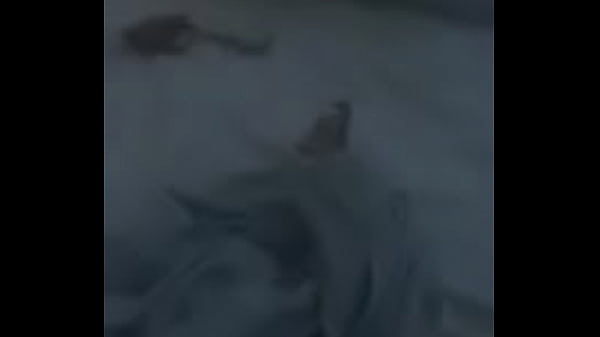 silas pegando a gata parte2