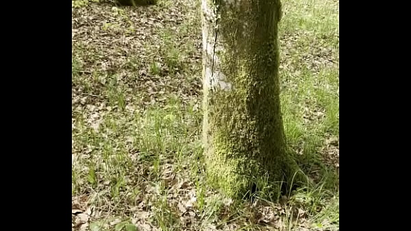 Je profite du soleil et de la chaleur pour faire une petit balade en for&ecirc;t 