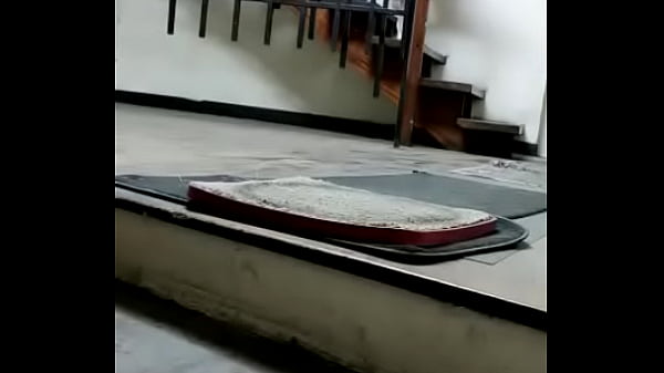 Travita ofrece servicios de