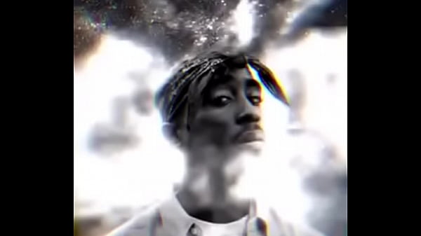 فيديو التحقق 