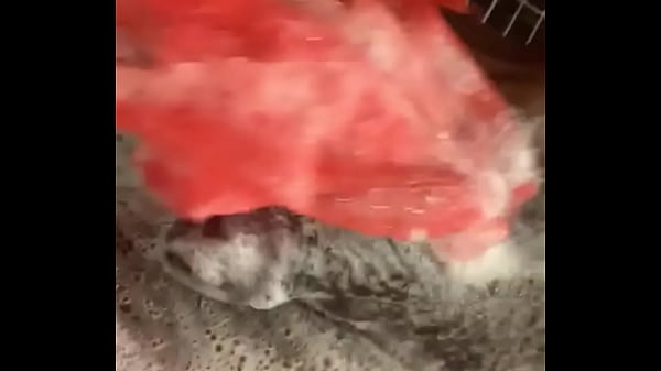 Play MP4 - It&rsquo;s daddy&rsquo;s birthday