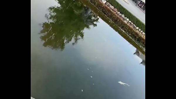 The white temple in chaing rai magical right #travel #thailand #temple #whitetemple #chiangrai 