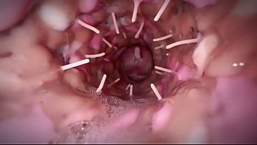An old daddy shoved his cock into a very prickly spot and is now cumming from it.