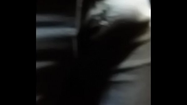 Novinho de Pau Duro no &Ocirc;nibus 