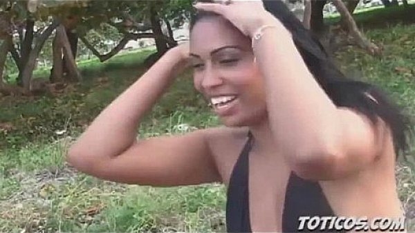 Dominican republic wildlife