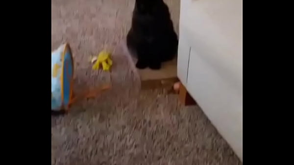 I was really lucky to have a bestfriend like her a part of me is gone in peace my beautiful angel i love