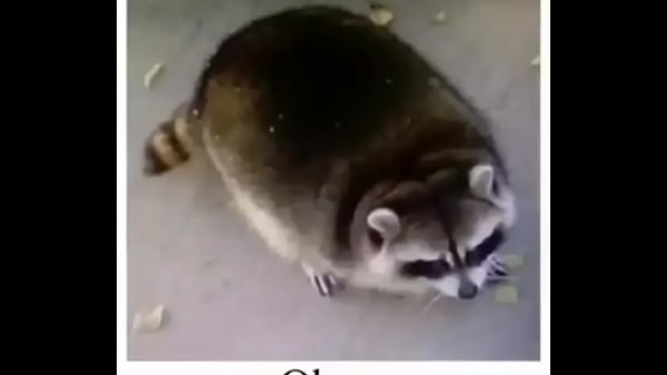 Nonton E L E C T R I C A V E N U E . J P E G thumbnail