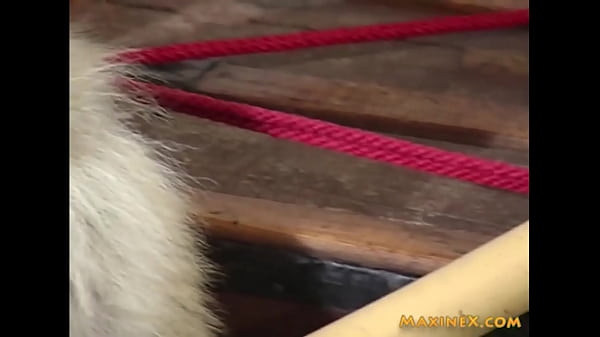 Cambodian Cougar Maxine X Masturbates And Squirts_In BDSM Dungeon!