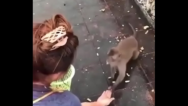 验证视频 thumbnail