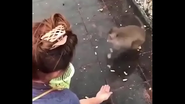 验证视频 thumbnail