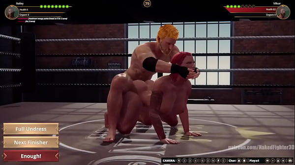 Hailey VS Vilkor Naked Fighter 3D