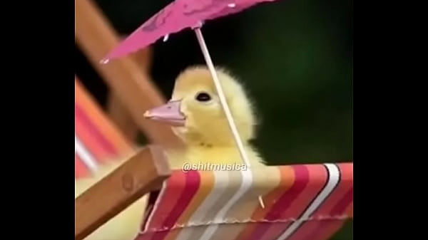 Nonton Pinto Resistente thumbnail