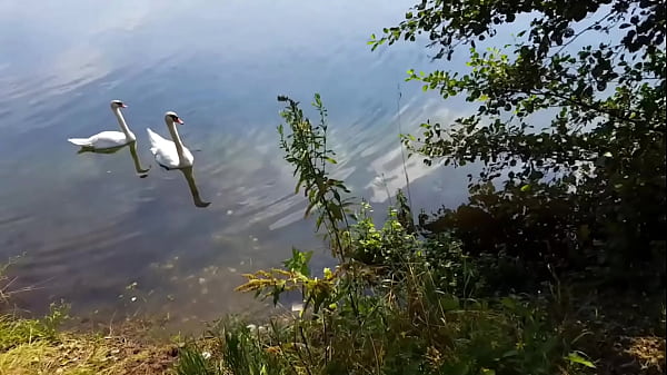 Nonton Sexydea&rsquo;s Lake Adventure &ndash; Blowjob And Fucked By A Lucky Guy thumbnail